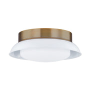 Troy Lighting - C2014-PBR/GWH - Two Light Flush Mount - Arnie - Patina Brass