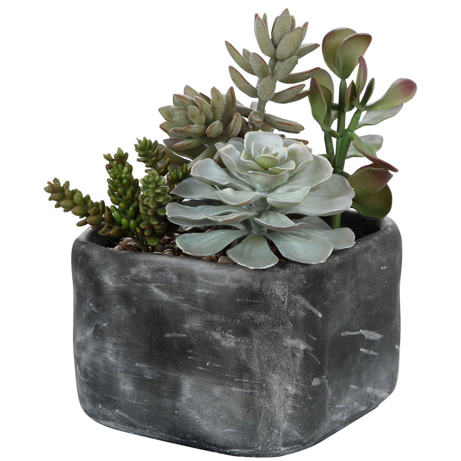 Uttermost - 60173 - Succulents - Alverio - Charcoal Gray