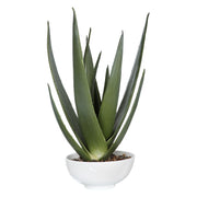 Uttermost - 60177 - Planter - Evarado - Glossy White