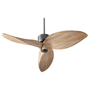 Quorum - 31523-69 - 52"Ceiling Fan - Hawkeye - Textured Black