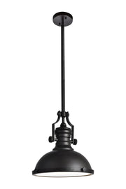 Elegant Lighting - LD5001D13ORB - One Light Pendant - Eamon - Oil rubbed bronze