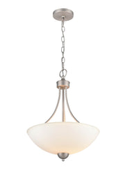 Millennium - 9802-SN - Two Light Pendant - Ivey Lake - Satin Nickel