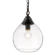 Golden - 1094-S BLK-HCG - One Light Pendant - Ariella - Matte Black