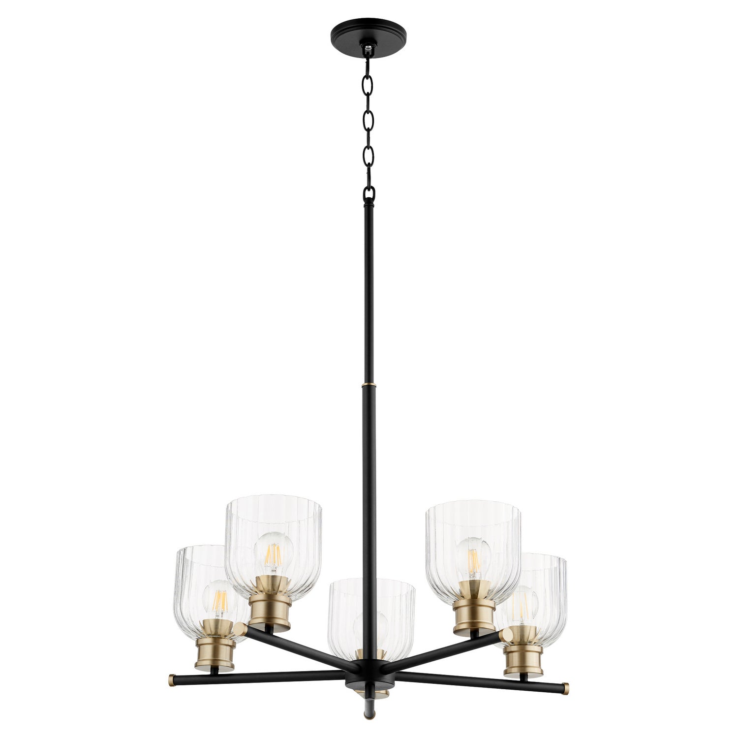 Quorum - 610-5-6980 - Five Light Chandelier - Monarch - Textured Black|Aged Brass