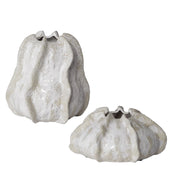 Uttermost - 17973 - Vases, S/2 - Urchin - Ivory And Beige