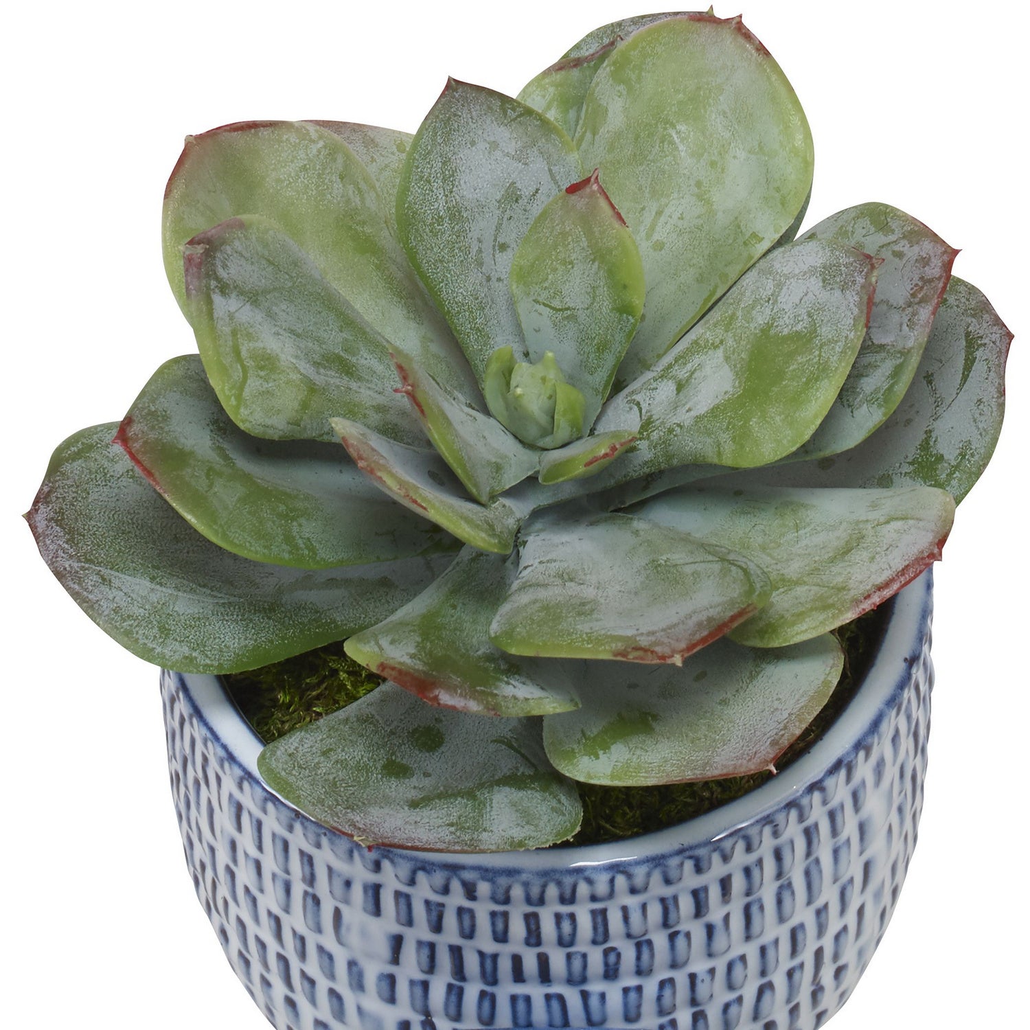 Uttermost - 60192 - Artificial Flower - Puebla - White Ceramic