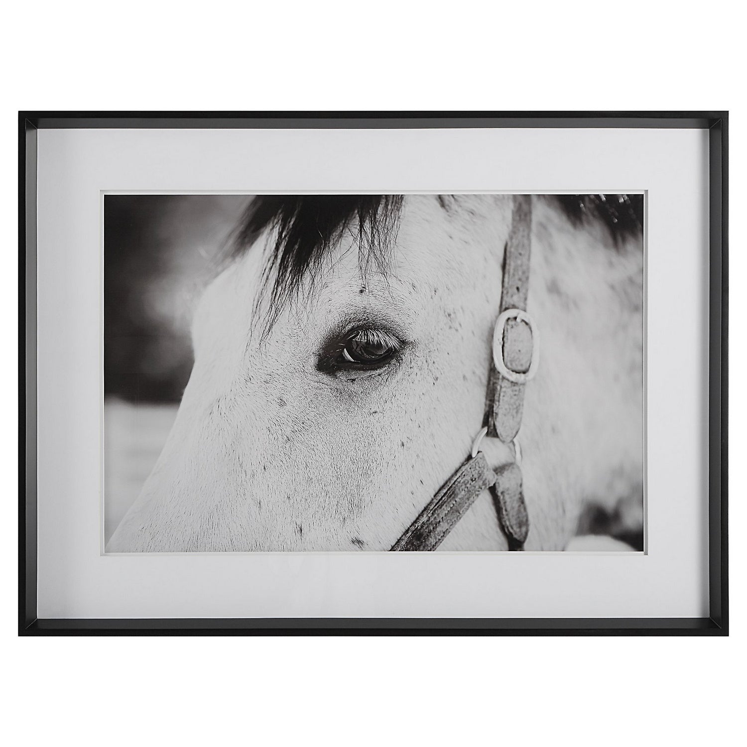 Uttermost - 41463 - Framed Print - Eye Of The Beholder - Satin Black Chamfered Edge