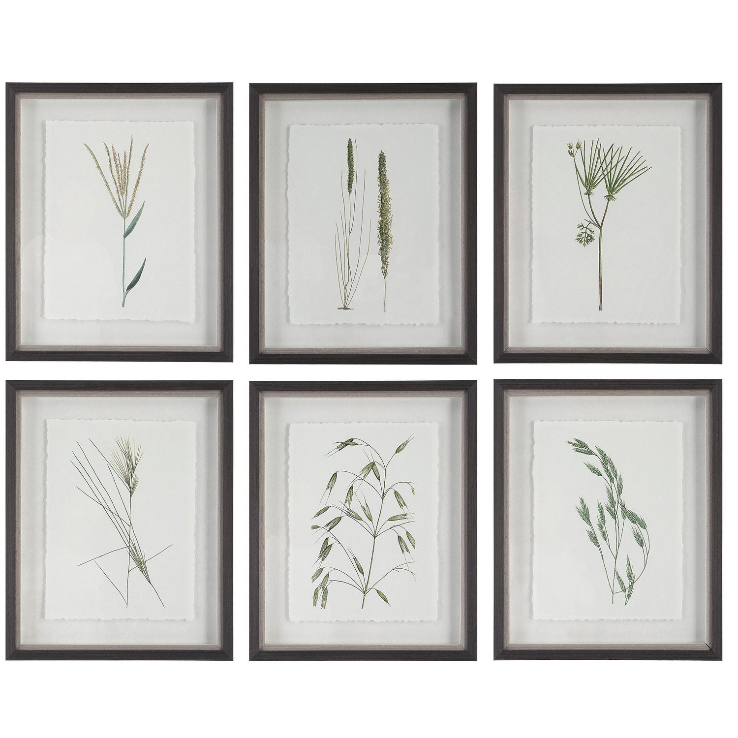 Uttermost - 41459 - Framed Prints, S/6 - Forest Finds - Dark Espresso