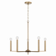 Capital Lighting - 448651AD - Five Light Chandelier - Portman - Aged Brass