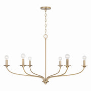 Capital Lighting - 449961MA - Six Light Chandelier - Dolan - Matte Brass