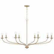 Capital Lighting - 449981MA - Eight Light Chandelier - Dolan - Matte Brass
