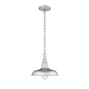 Millennium - 2952-GA - One Light Outdoor Hanging Lantern - Galvanized
