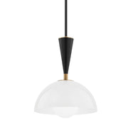 Troy Lighting - F1512-PBR/SBK - One Light Pendant - Payson - Patina Brass