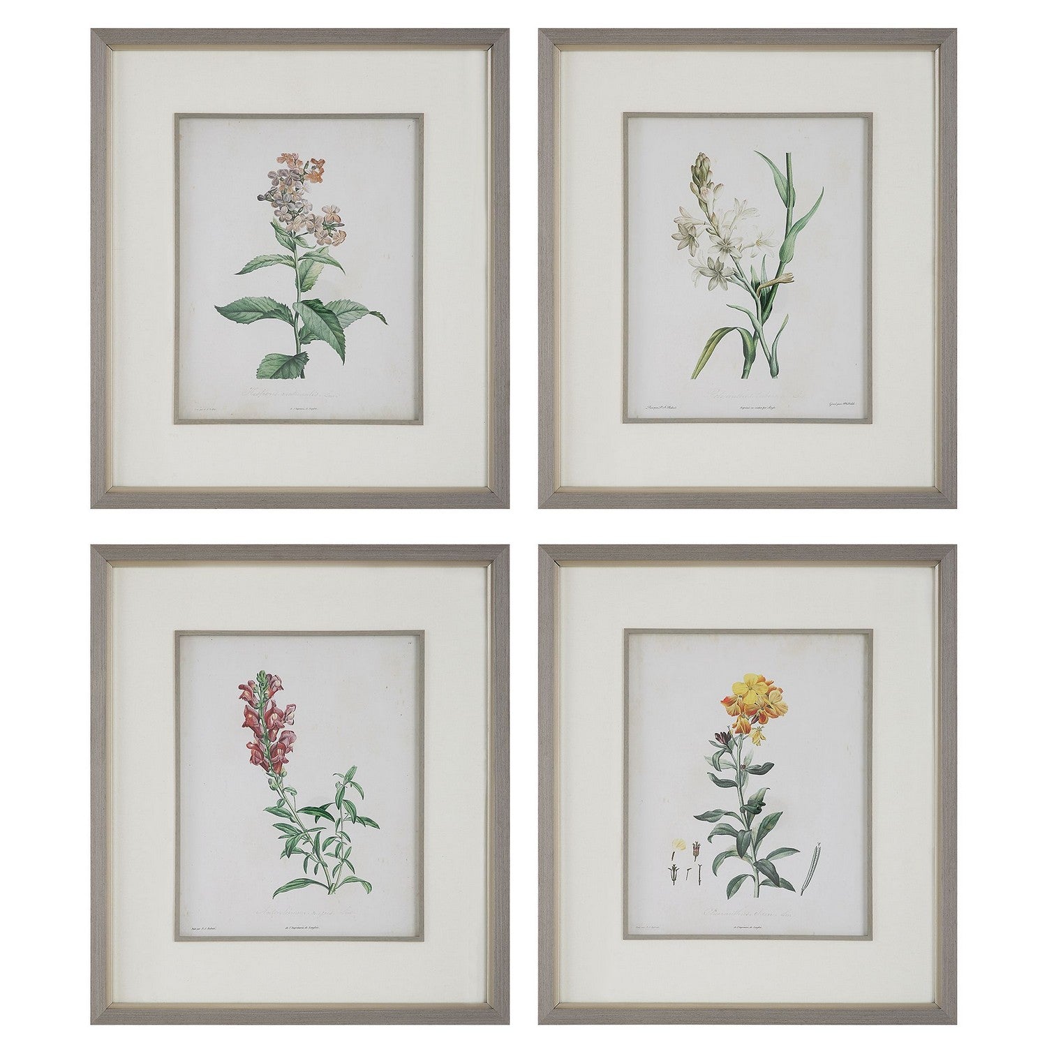 Uttermost - 32285 - Framed Prints Set/4 - Heirloom Blooms - Gray