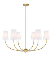 Z-Lite - 3040-42RB - Six Light Chandelier - Shannon - Rubbed Brass