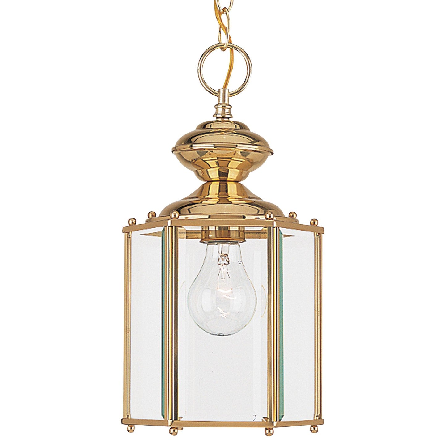 Generation Lighting - 6008-02 - One Light Outdoor Semi-Flush Convertible Pendant - Classico - Polished Brass