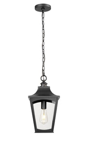 Millennium - 10931-PBK - One Light Outdoor Hanging Lantern - Curry - Powder Coated Black