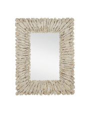 Currey and Company - 1000-0150 - Mirror - Whitewashed Driftwood/Mirror