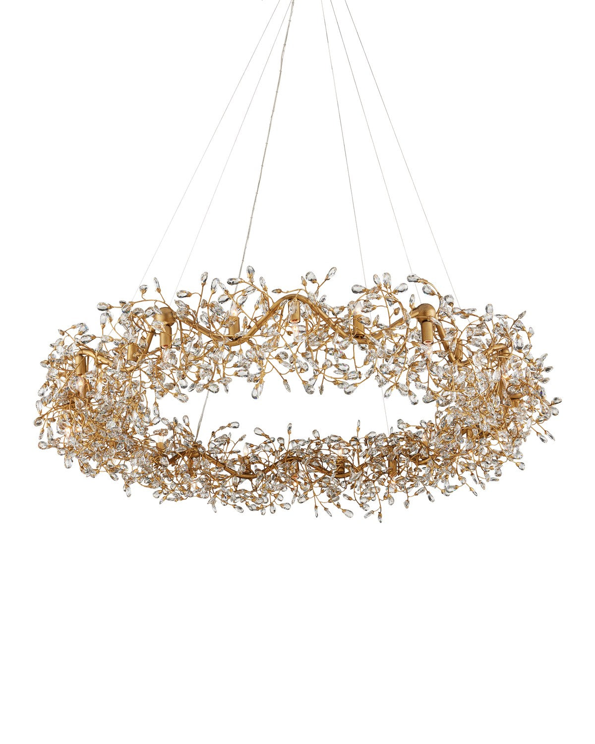 Currey and Company - 9000-1136 - 24 Light Chandelier - Clear/Brass