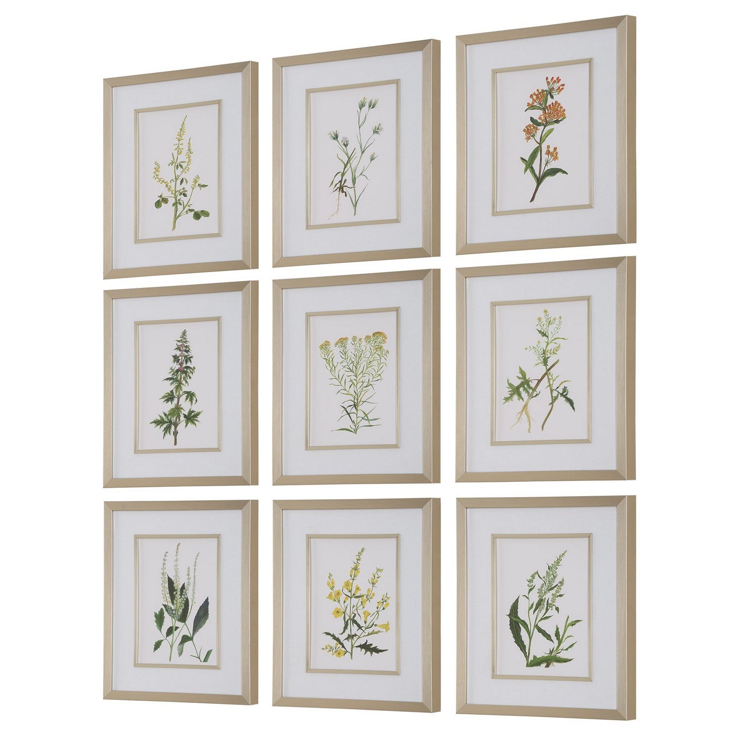 Uttermost - 32339 - Framed Prints, S/9 - Botanical Flowers - Champagne Gold