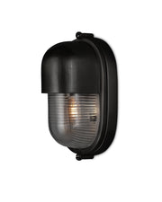 Currey and Company - 5500-0050 - One Light Outdoor Wall Sconce - Matte Black / Clear