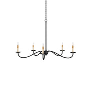 Currey and Company - 9000-1257 - Five Light Chandelier - Zanzibar Black