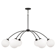 Capital Lighting - 457161BI-557 - Six Light Chandelier - Amos - Black Iron