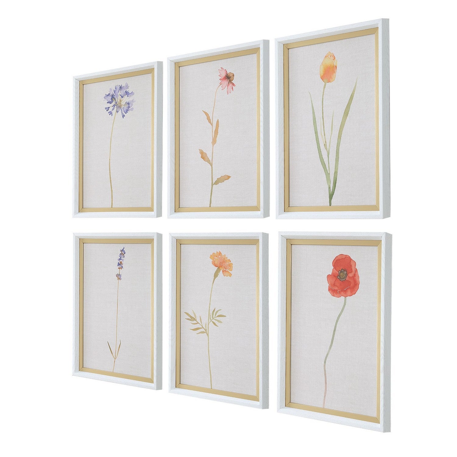 Uttermost - 32384 - Framed Print - Wild Flourish - White Wood