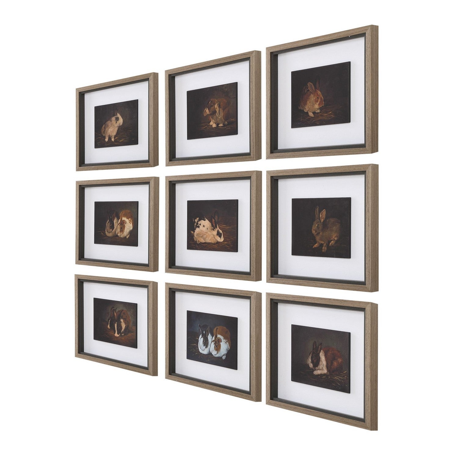Uttermost - 32386 - Framed Print - Resting Bunny