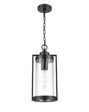 Millennium - 192401-PBK - One Light Outdoor Hanging Lantern - Braselton - Powder Coated Black