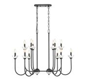 Z-Lite - 352-42L-MB - 12 Light Linear Chandelier - Allistair - Matte Black