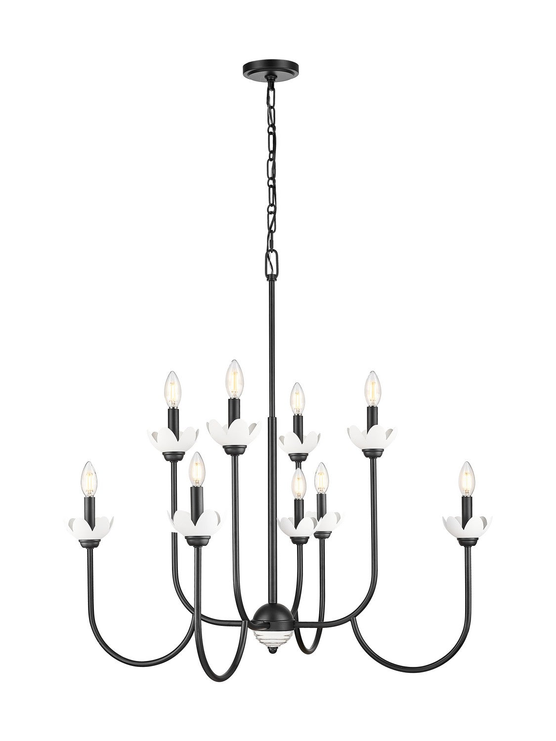 Z-Lite - 352-8MB - Eight Light Chandelier - Allistair - Matte Black