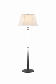 Hudson Valley - AHL5964-BI - One Light Floor Lamp - Celmins - Black Iron