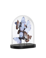 Currey and Company - 1200-0976 - Sculpture - Rue de Bac Butterflies - Lilac/Brown/Black/Clear