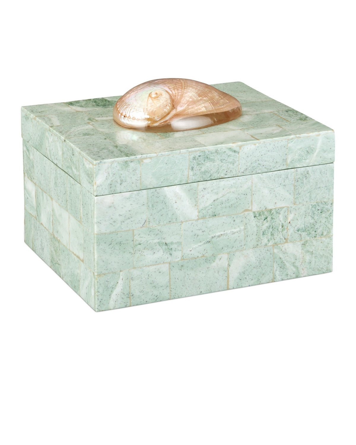 Currey and Company - 1200-1025 - Box - Fiona - Natural