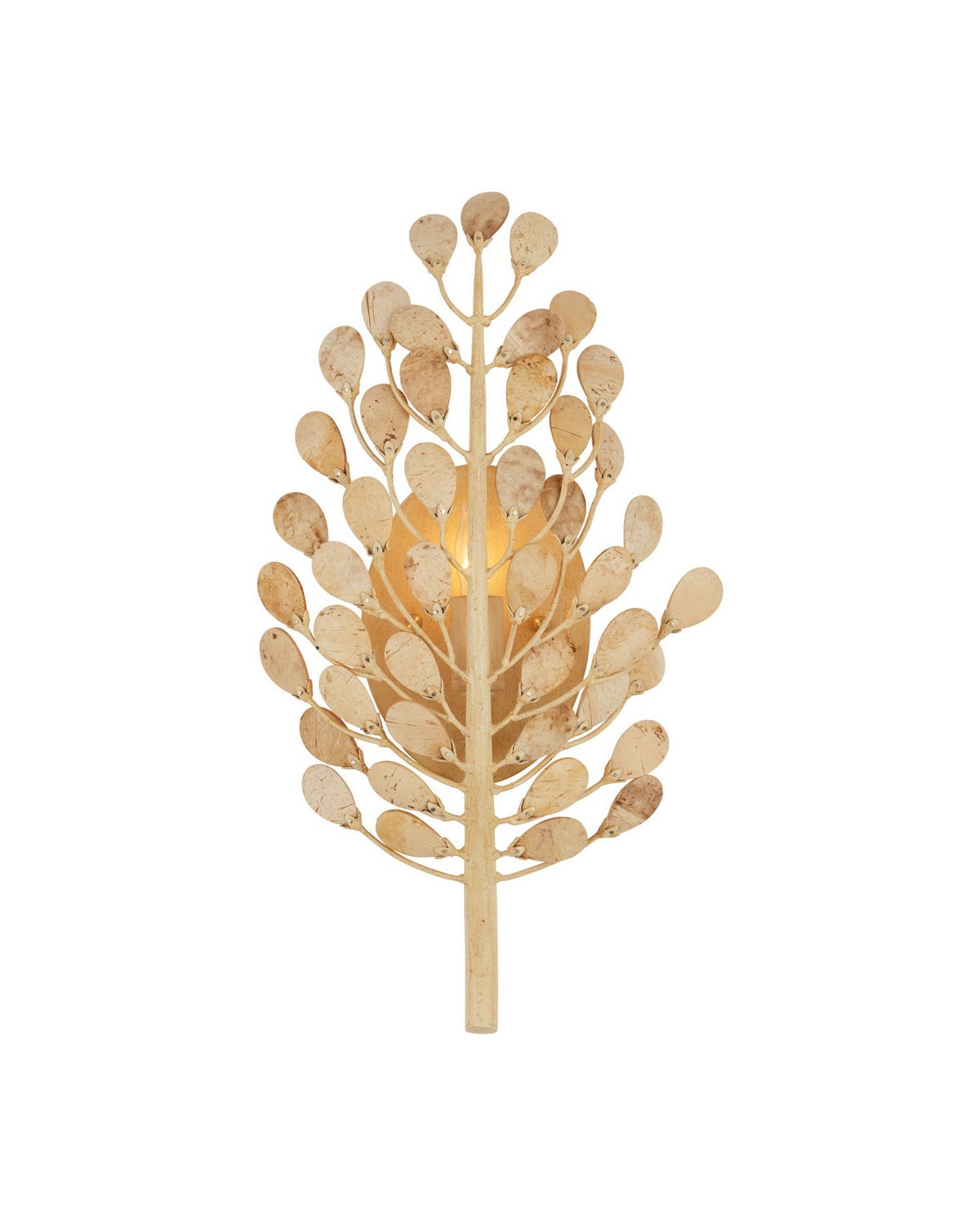 Currey and Company - 5900-0057 - One Light Wall Sconce - Maypan - Natural/Coco Cream