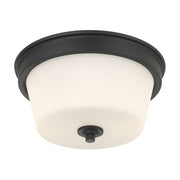 Millennium - 64102WG-MB - Two Light Flush Mount - Strayhan - Matte Black
