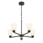 Millennium - 64105WG-MB - Five Light Chandelier - Strayhan - Matte Black