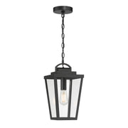 Millennium - 68301-PBK - One Light Pendant - Brenwick - Powder Coated Black