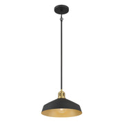 Millennium - 9941-MB/VB - One Light Pendant - Axlen - Matte Black