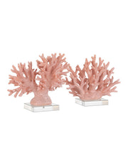 Currey and Company - 1200-1082 - Coral Set of 2 - Coral - Coral/Clear
