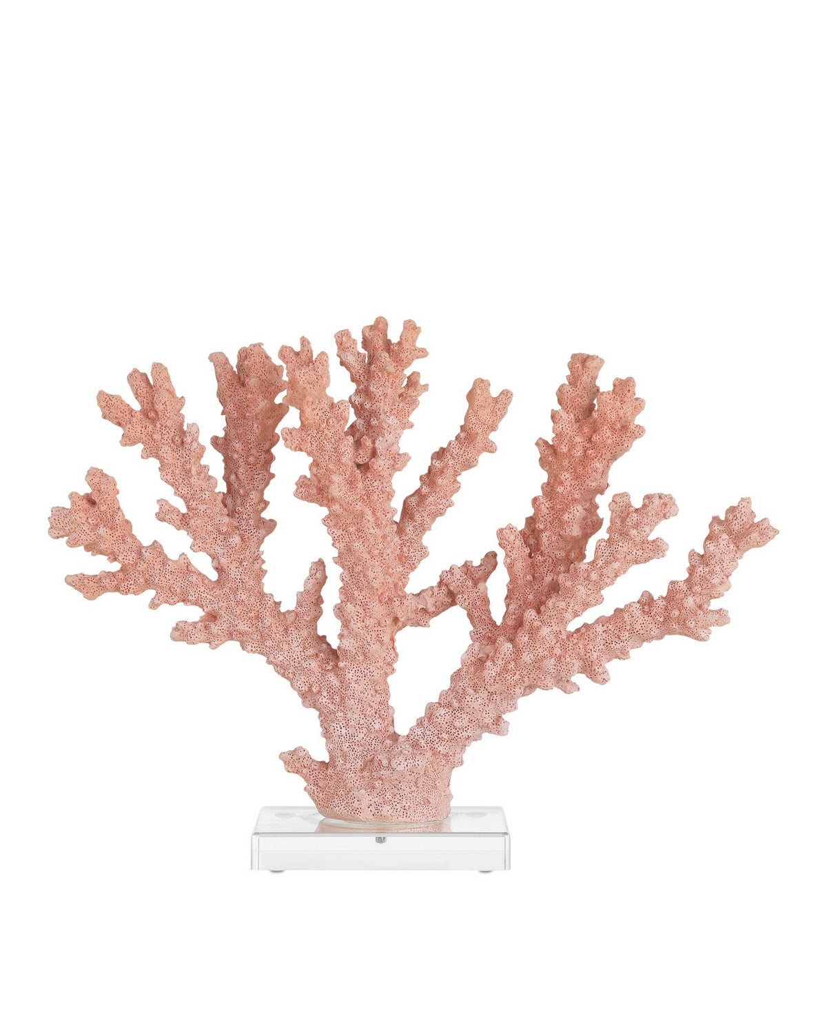 Currey and Company - 1200-1083 - Coral - Coral - Coral/Clear