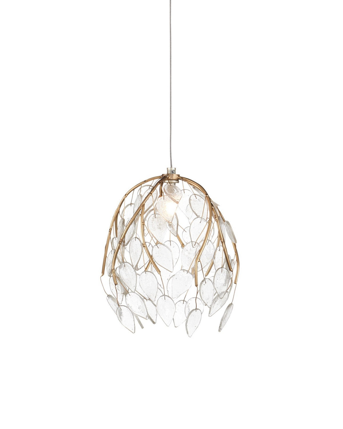 Currey and Company - 9000-1387 - One Light Pendant - Banyan - Antique Brass/Clear/Silver