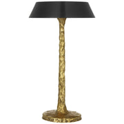 Visual Comfort Signature - IKF 3100HAB-BZ - LED Table Lamp - Ilosi - Hand-Rubbed Antique Brass