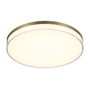 Minka-Lavery - 769-2-787-L - LED Flush Mount - Flush Mount - Ashen Brass