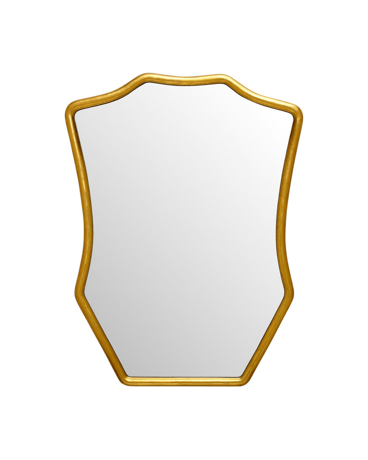Currey and Company - 1000-0181 - Mirror - Aegis - Gold Leaf