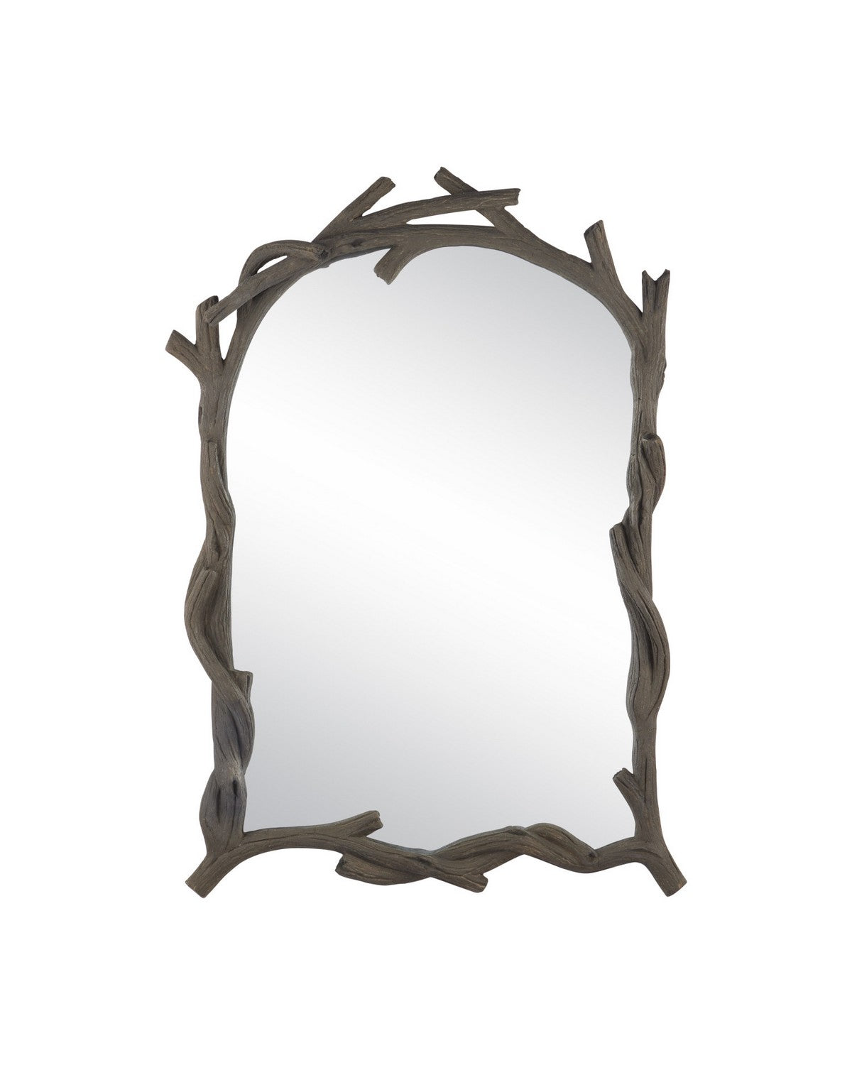 Currey and Company - 1000-0187 - Mirror - Dunmore - Charbon de Bois