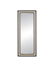 Currey and Company - 1000-0188 - Mirror - Deanna - Ivory / Black