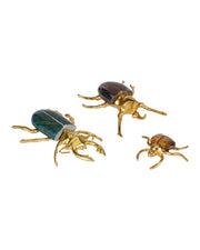 Currey and Company - 1200-1118 - Colony Set of 3 - Beetle - Polished Brass / Natural