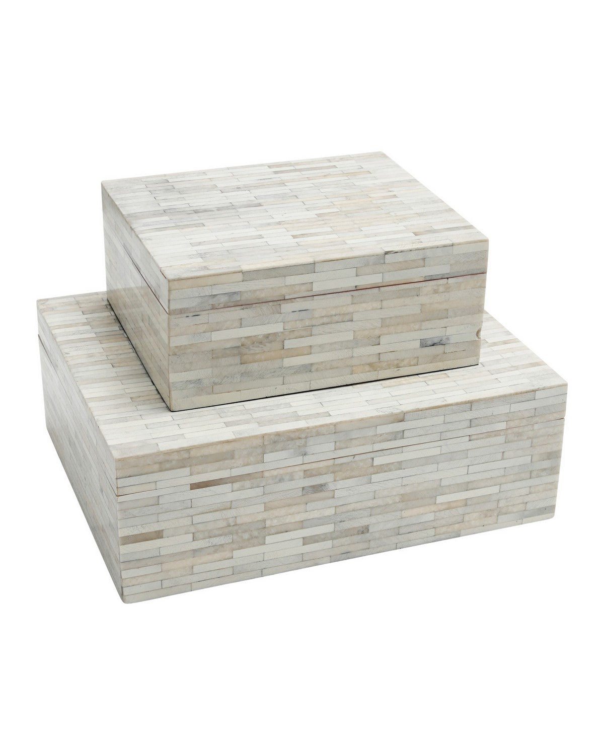 Currey and Company - 1200-1132 - Box Set of 2 - Prothero - Natural